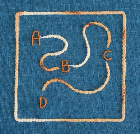 Embroidery illustration showing coaching pathway from A to B to C to D